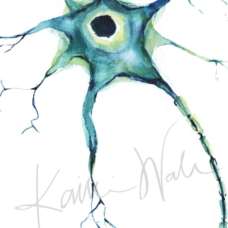 Nerve Cell Watercolor Print - Motor Neuron - Nerve Art - Brain Art ...