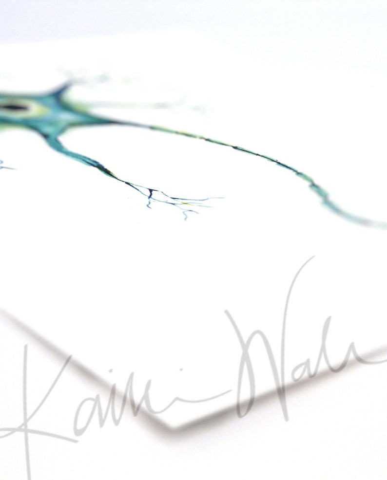 Nerve Cell Watercolor Print - Motor Neuron - Nerve Art - Brain Art ...