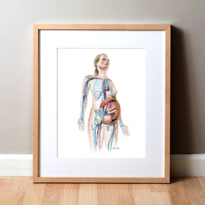 Pregnant Female Watercolor Print - OBGYN and Female Reproductive Anatomy Print - Pregnancy Art
