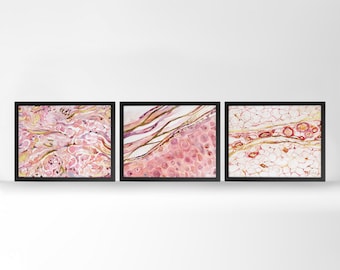 Gilded Histology Watercolor Print - Dermatology Painting - Skin Art - Gift for Dermatologist