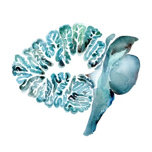May include: Watercolor painting of a blue and green brain with detailed anatomical features.