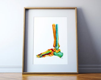 Foot and Ankle Bones Watercolor Print - Podiatry Print - Anatomy Art