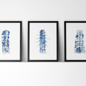 Blue Spine Print Series of 3 - Anatomy Art Set - 3 Watercolor Prints