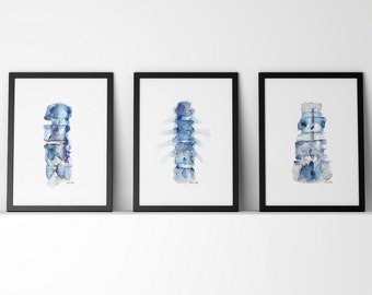 Serie de impresión de columna vertebral azul de 3 - Conjunto de arte de anatomía - 3 impresiones de acuarela