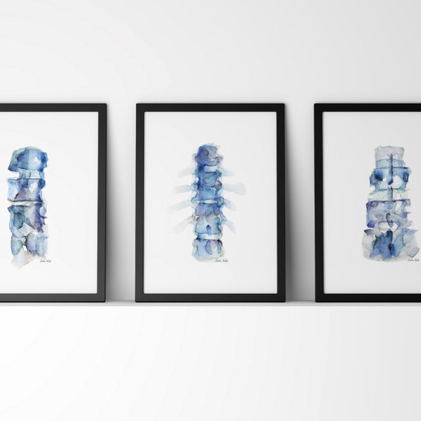 Serie de impresión de columna vertebral azul de 3 - Conjunto de arte de anatomía - 3 impresiones de acuarela