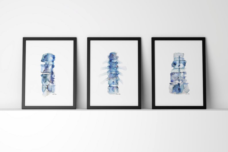 Blue Spine Print Series of 3 Anatomy Art Set 3 Watercolor Prints image 1