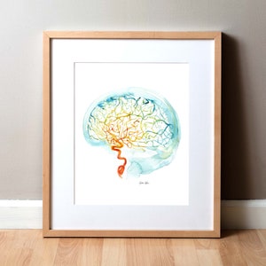 May include: A watercolor painting of a human brain with a detailed depiction of the blood vessels in vibrant colors, including red, orange, yellow, green, and blue. The brain is outlined in a light blue watercolor wash.