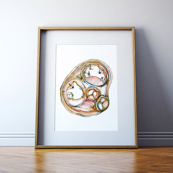 Cross Section of the Heart Watercolor Print - Great Vessels Art Print - Cardiovascular Watercolor - Abstract Anatomy Art