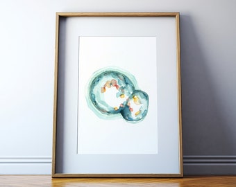 Hatching Embryo Art Print - Embryology Watercolor Print - IVF and Fertility Doctor Art - OBGYN Painting