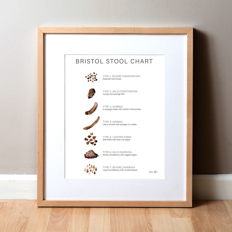 Bristol Stool Chart Watercolor Print - Stool Chart - GI Painting - Poop Chart