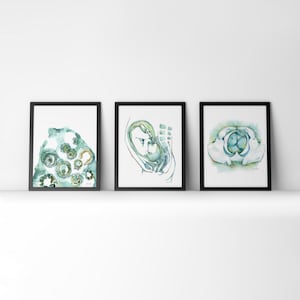 Blue Green Fertility Watercolor Print Set - OBGYN Art - Gift for OBGYN - Fertility Art