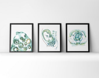 May include: Three framed watercolor paintings depicting different stages of pregnancy. The first shows a cluster of cells, the second shows a fetus in the womb, and the third shows a baby's head.