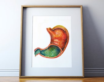 Stomach Watercolor Art Print - Gastrointestinal Painting - Stomach