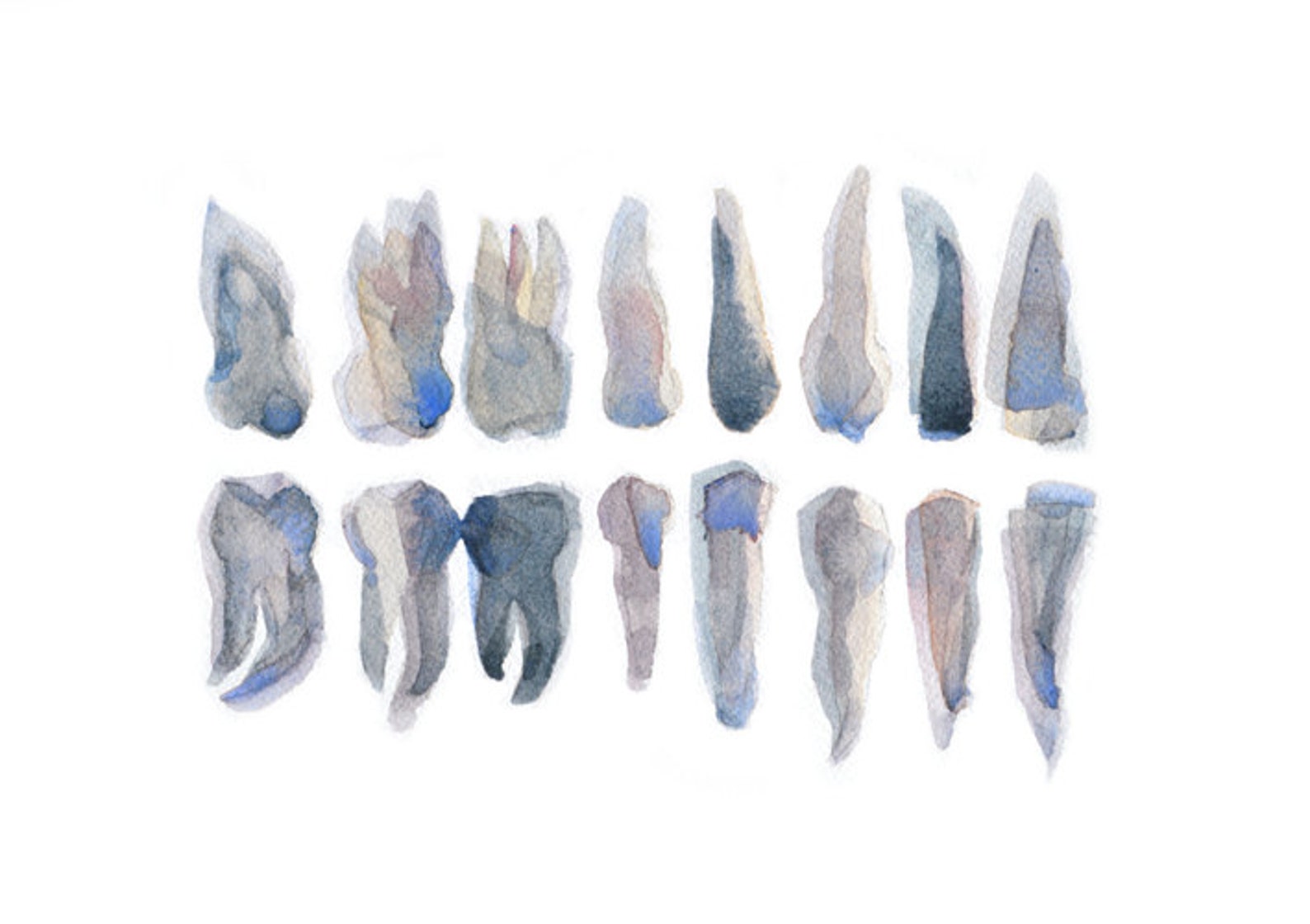 Abstract Teeth Watercolor Print Dental Art Medical - Etsy