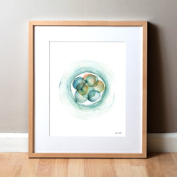 3-day Embryo Art Print - Embryology Watercolor Print -  Fertility Doctor Art - OBGYN Painting