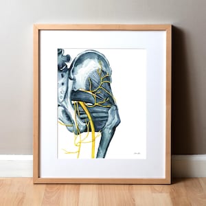 May include: Watercolor anatomical illustration of the hip and surrounding nerves in shades of gray and yellow. The artwork is framed in a light wood frame and set against a white background.