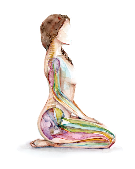 Size Matters - Love Yoga Anatomy