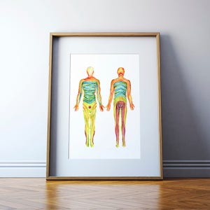 Dermatomes Watercolor Print in Red Green Blue - Nervous System Watercolor Print - Medical Art - Anatomy Art