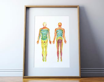 Impression aquarelle Dermatomes sans cadre en rouge vert bleu - impression aquarelle du système nerveux - art médical - art de l'anatomie