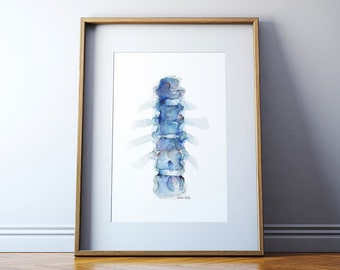Spine Watercolor Print 2 - Vertebrae Watercolor Print - Anatomy Art