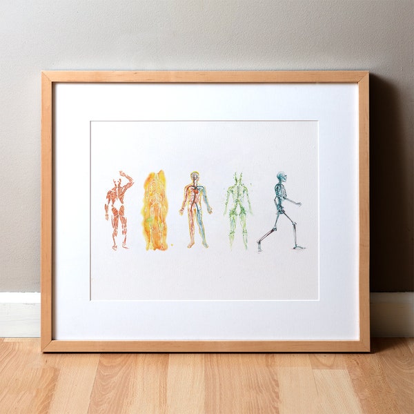 The Five Body Systems - Muscular, Nervous, Circulatory, Lymphatic and Skeletal System Art Print Set