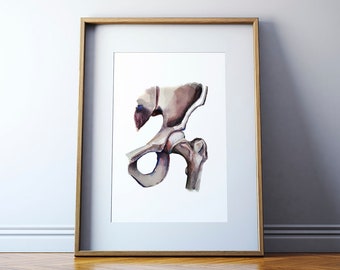 Hip Joint Watercolor Print - Pelvis and Femur Watercolor - Orthopedic Surgery Art - Medical Art - Anatomy Art