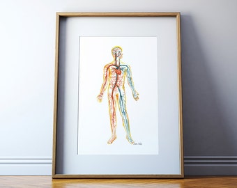 Circulatory System Watercolor Print - Body Systems Watercolor Print - Anatomy Art - Medical Art