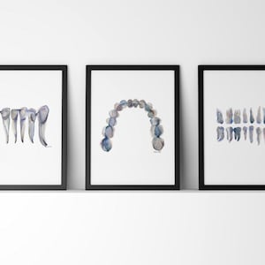 3er Set Blau Graue Zähne Print - Art Set - Zähne Aquarell Set - Zahnarzt Anatomie - Art Art Deco