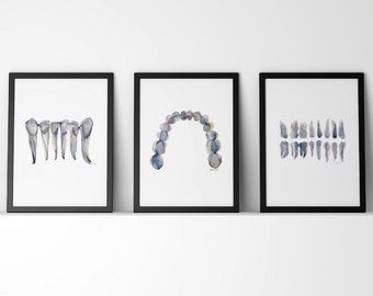 Set of 3 Blue Gray Teeth Print - Dental Art Set - Teeth Watercolor Set - Dentist Anatomy - Dental Office Art