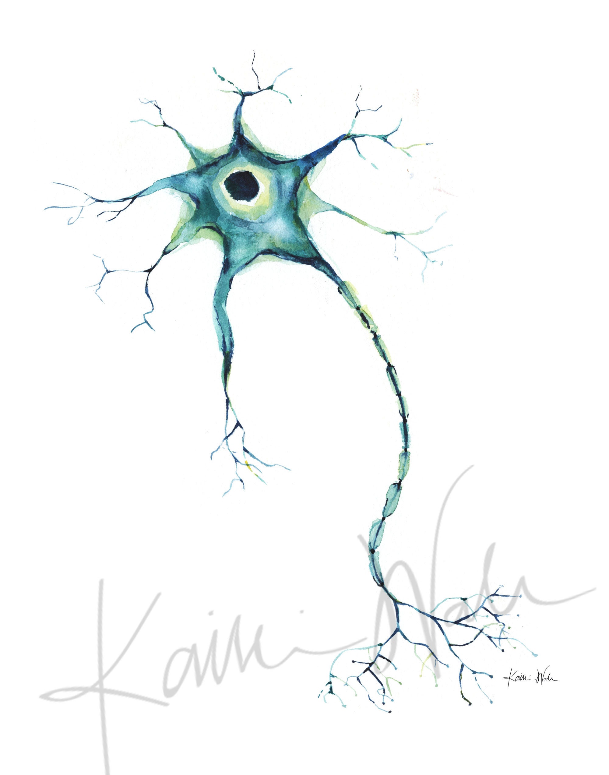 Nerve Cell Watercolor Print - Motor Neuron - Nerve Art - Brain Art ...