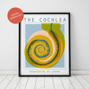 May include: A digital download of a printable poster featuring a stylised illustration of the cochlea, the inner ear's organ of hearing. The illustration is a colourful spiral with yellow, orange, green, and blue tones. The text "THE COCHLEA" is at the top of the poster, and "TRANSDUCER OF SOUND" is at the bottom.