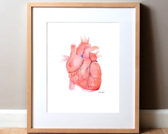 May include: A watercolor painting of a human heart, rendered in shades of pink and red with blue veins. The heart is depicted in anatomical detail, with the chambers and valves visible. The painting is framed in a light wood frame.
