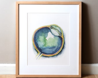 May include: A watercolor painting of a cross-section of a human eye. The eye is depicted in shades of blue, green, and yellow, with the lens and other internal structures visible.