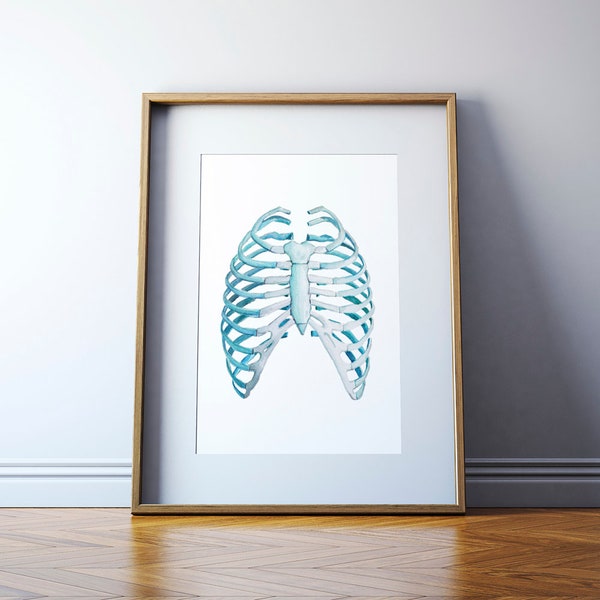 Rib Cage Watercolor Print - Anatomy Watercolor Art Print - Rib Art Print