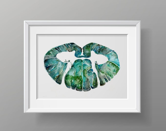 Spinal Cord Cross Section Watercolor Print Anatomy Art Doctor Office ...
