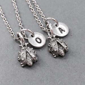Best friend necklace, lady bug necklace, insect jewelry, friends necklace, sister necklace, bff necklace, personalized necklace