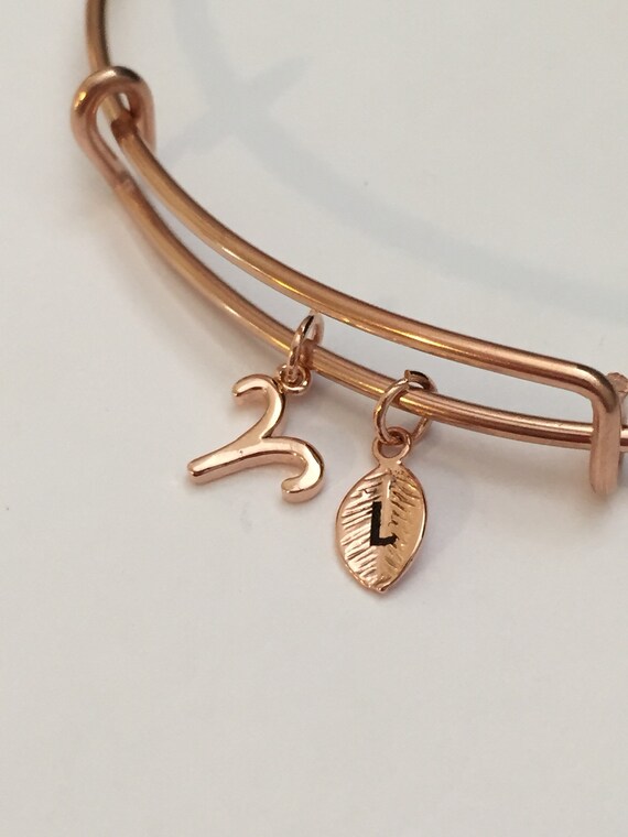 Aries Bangle, Aries Charm Bracelet, Expandable Bangle, Charm