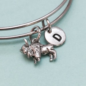 Op de afbeelding: Een zilveren armband met een buffelbedel en een zilveren bedel met de letter D.