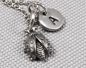 Puede incluir: Collar de plata con un dije de mariquita y un disco de plata con la letra A.