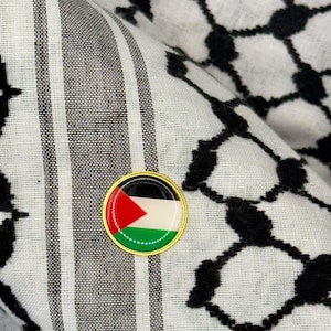 Pin de la bandera de Palestina