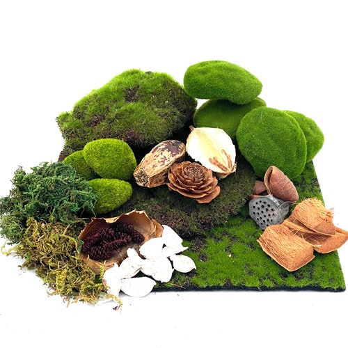 Fairy Garden Artificial Moss and Fern Twig Etsy Australia