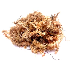 Sphagnum Moss 3kg Bale Long Fibered Sphagnum Moss for Reptiles, Orchids, &  Carnivorous Plants 