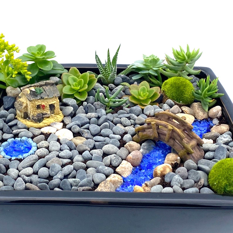 Fairy Garden Minuature Terrarium Starter Kit Farm House Etsy