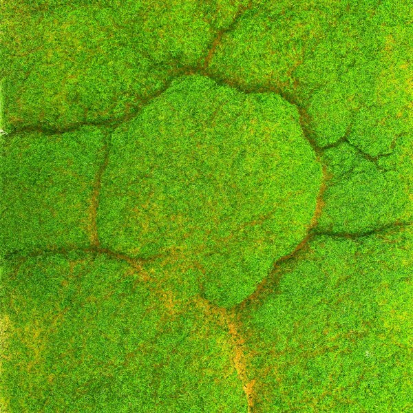 Fairy Garden Etsy Australia