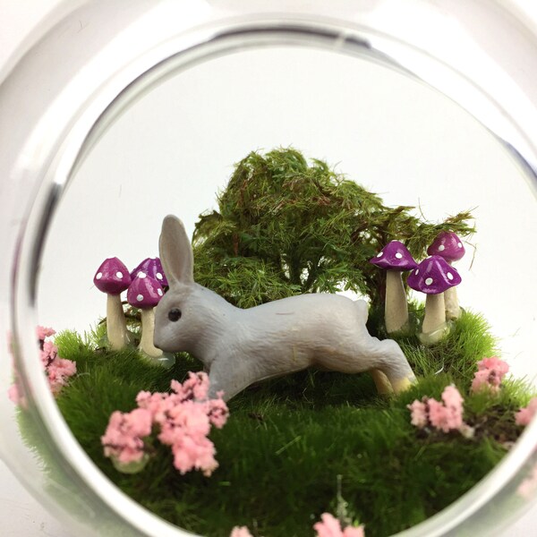 Terrarium Figurines Etsy Australia
