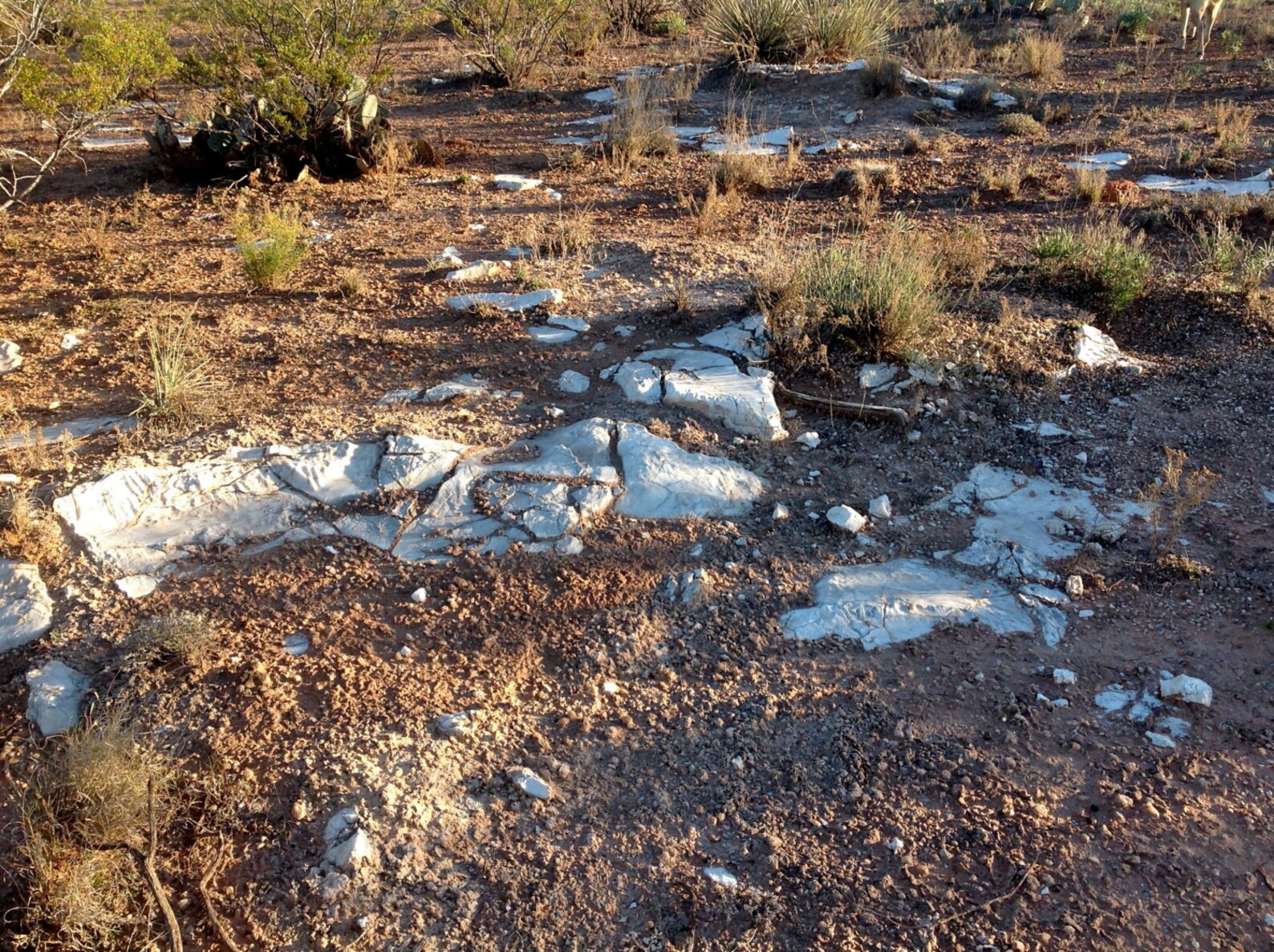 Rockhounding Pecos Diamonds New Mexico Pecos Diamonds Locality Etsy