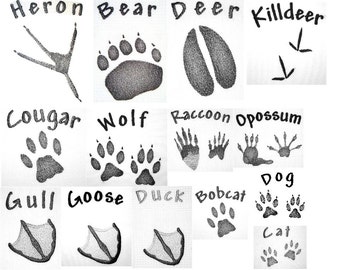 Wildlife Tracks Machine Embroidery Designs