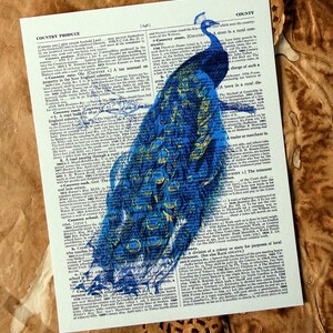 Antique Peacock Collage Print – Vintage 1940 Dictionary Page Art (Digital Download)