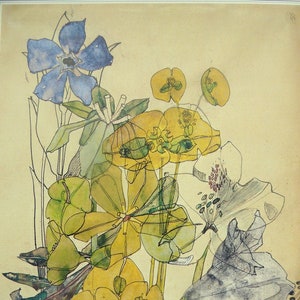 SPURGE JUNE 1909-  Art Nouveau Flower - Charles Rennie Mackintosh - Mounted Print 10" x 8"