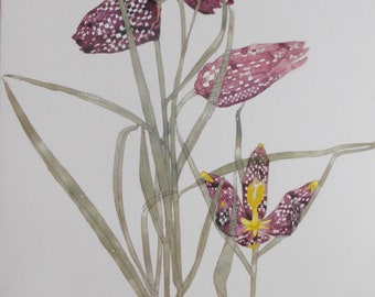 FRITILLARIA - Jugend - Charles Rennie Mackintosh - Monterat tryck 25 x 20 cm